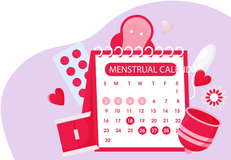 What Is a Menstrual Cycle? A Complete Guide