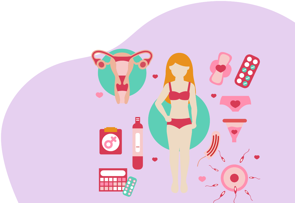 Menstrual Cycle Phases Explained