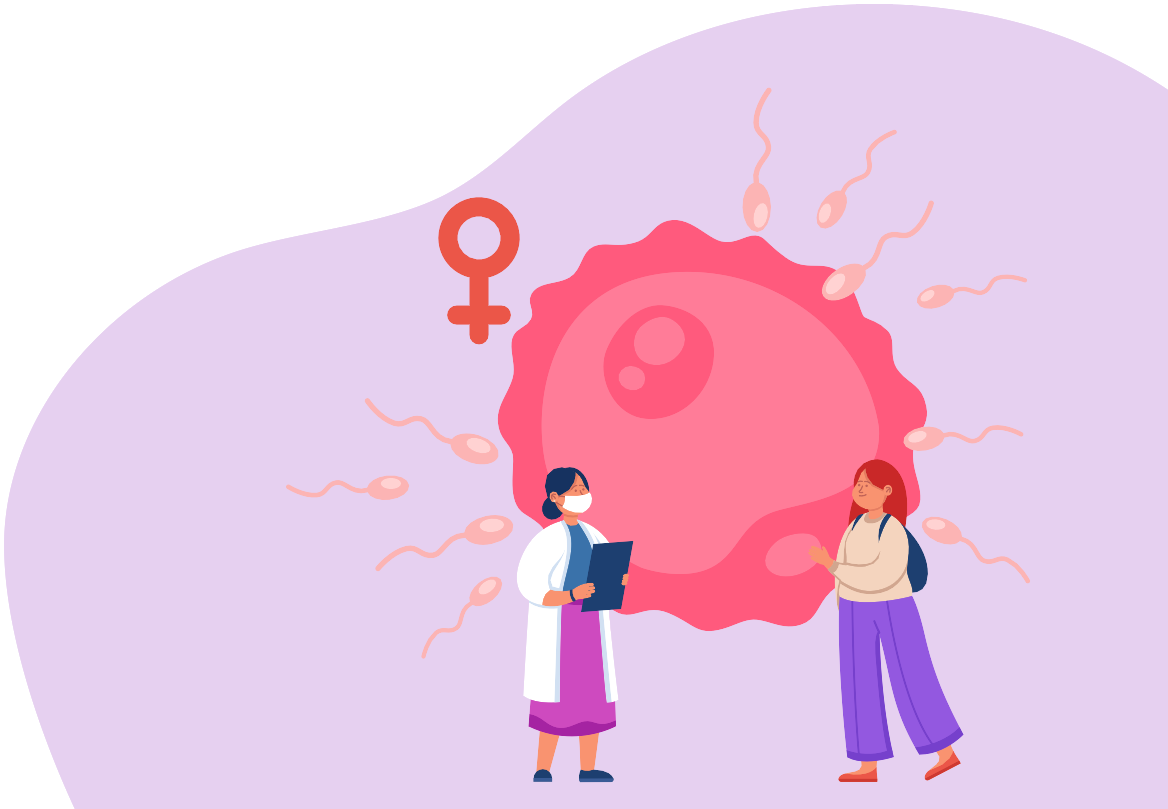 What Is Ovulation? When It Happens and How It Works