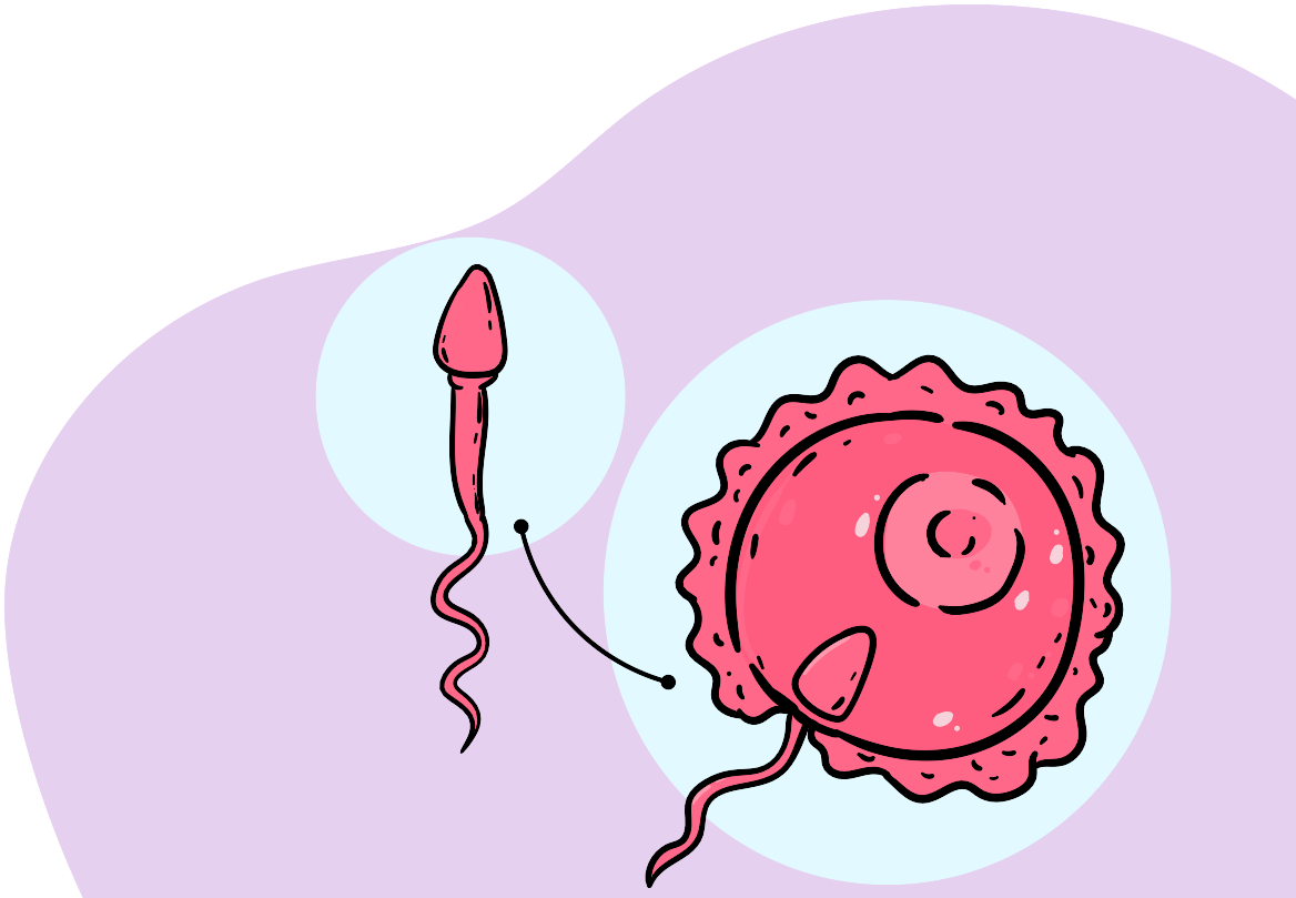 Ovulation Spotting: Is It Normal?