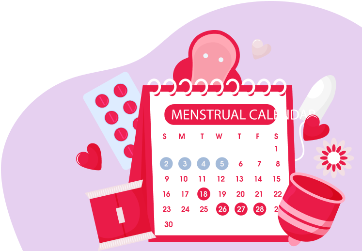 Thyroid Problems and Your Menstrual Cycle