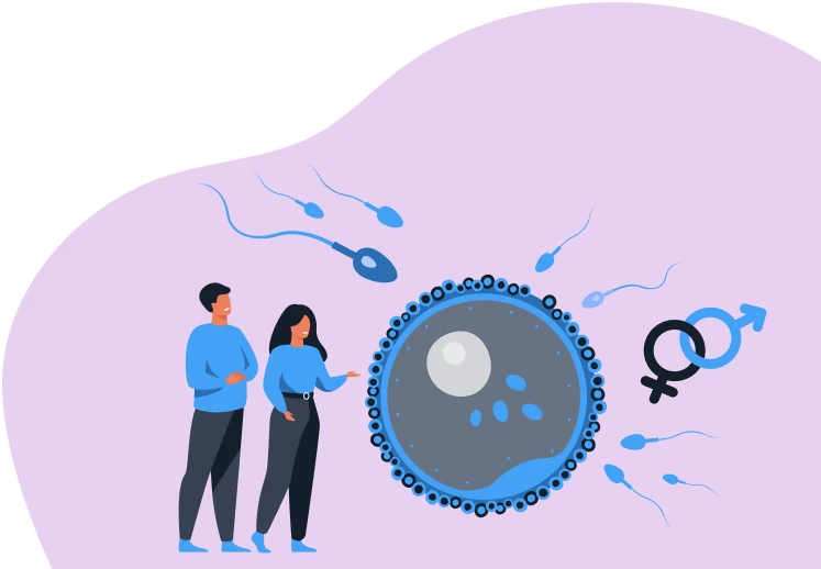 How Long Does Sperm Live? Understanding Sperm Survival and Ovulation